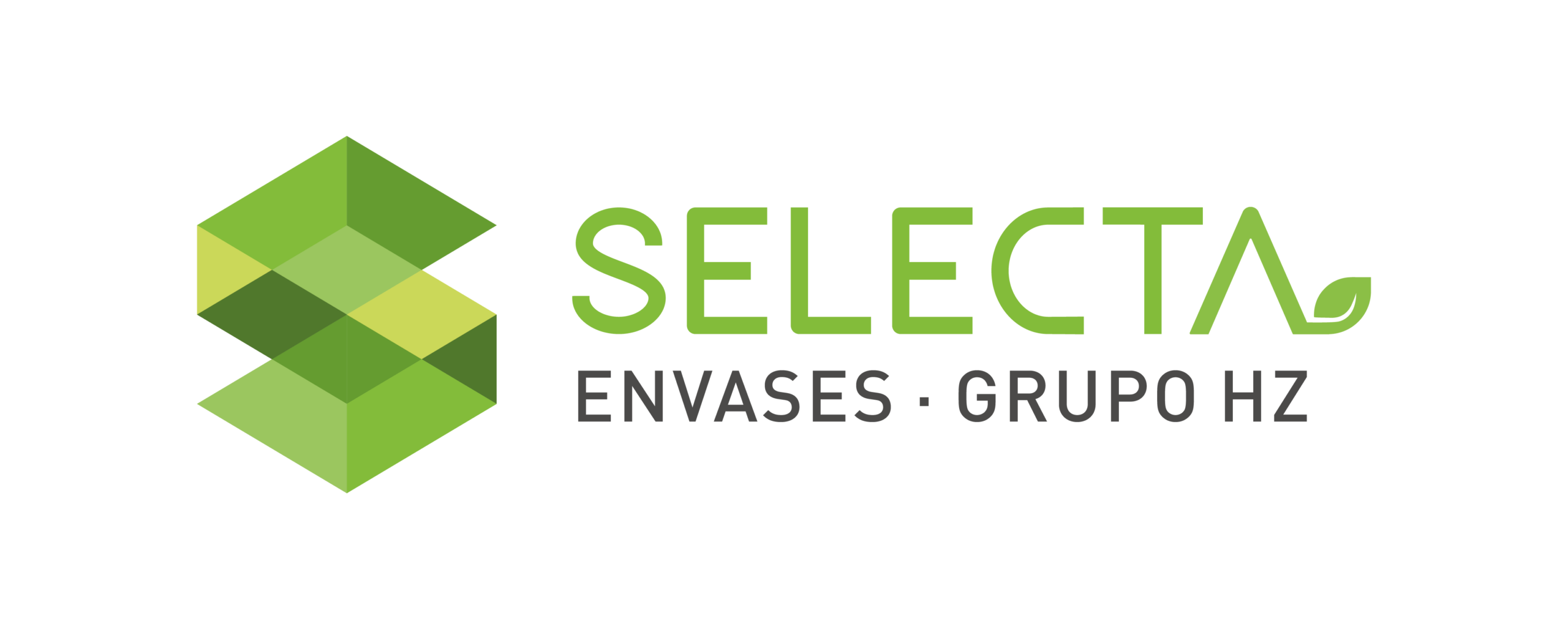 logo selecta - empresa de grupo hz