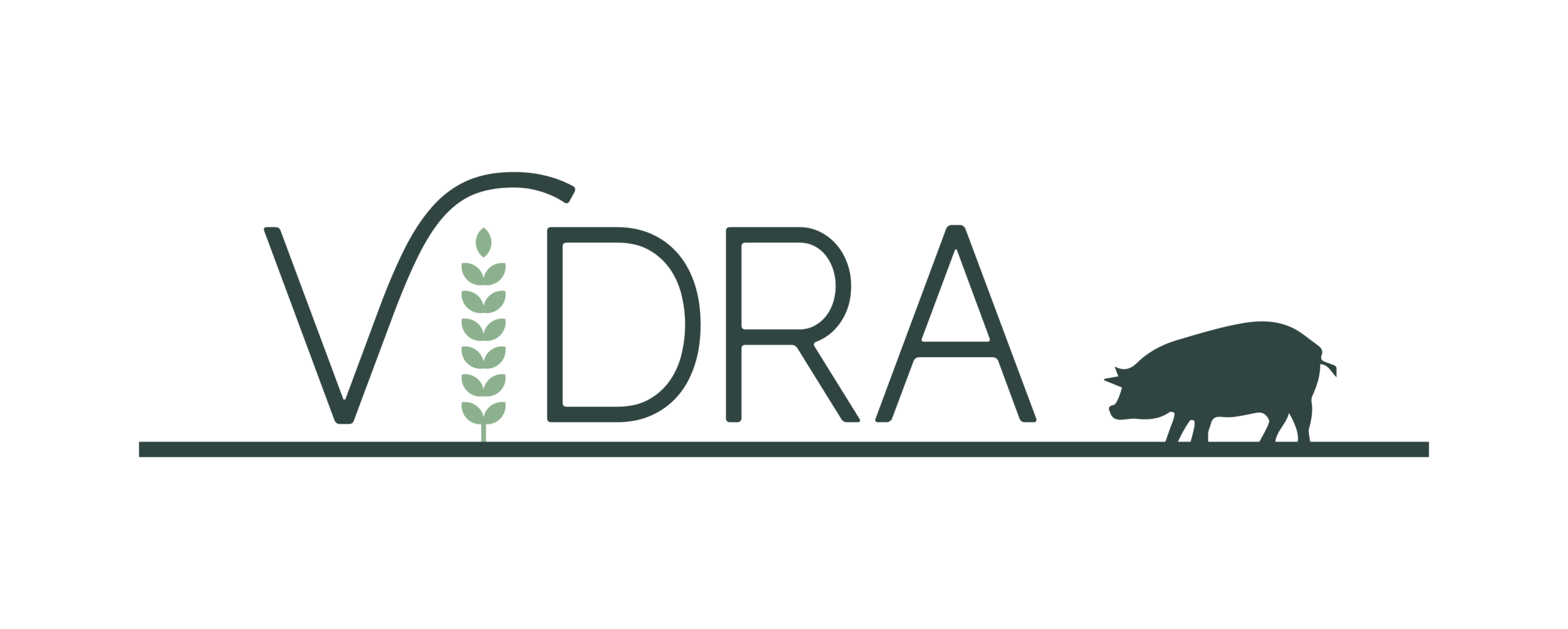 logo vidra - empresa de grupo hz